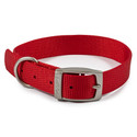 Ancol Viva Buckle Col Red 35-43cm