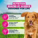 Eukanuba Adult Large Breed Lamb & Rice Dry Dog Food 12kg