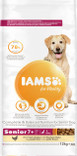 Iams Dog Senior Large Chicken