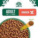 James Wellbeloved Adult Chicken & Rice Dry Cat Food 4kg