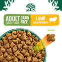Dog food in a bowl, lamb and vegetable flavour, grain-free, with a 20mm kibble shown.