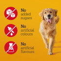 Golden retriever dog running, yellow background, red circles with "No added sugars", "No artificial colours", "No artificial