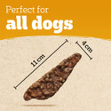 Dog treat, brown, with dimensions, "Perfect for all dogs" text, on a textured background.