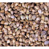 Johnston & Jeff Japanese Millet Seed 12.5kg