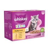 Whiskas Kitten 2-12 month Poultry Feasts in Jelly 12 x 85g