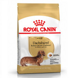 RC Dachshund