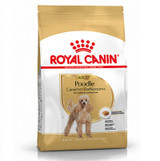 Royal Canin Poodle Adult dog food bag, gold and white, with a poodle illustration.