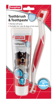 Beaphar Toothbrush & Toothpaste x6 Beaphar Toothbrush & Toothpaste x6