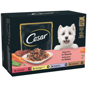 Cesar Tray Senior 10+ Delic CIJ 24x150g