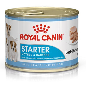 RC Tin Starter Mousse 12x195g