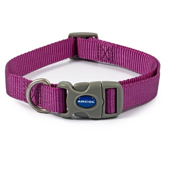 Ancol Viva Quick Fit Col Prpl 20-30cm Ancol Viva Quick Fit Col Prpl 20-30cm
