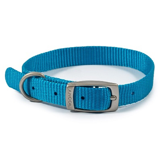 Ancol Viva Buckle Col Blue 20-26cm Ancol Viva Buckle Col Blue 20-26cm