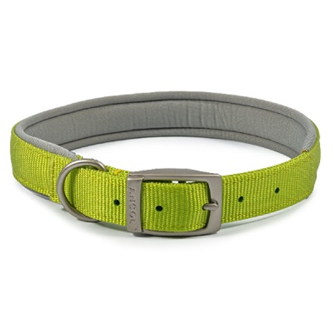 Ancol Viva Pad Buc Col Lime 45-54cm Ancol Viva Pad Buc Col Lime 45-54cm