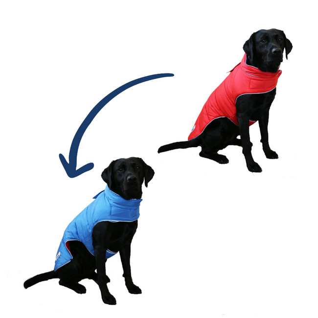 Ancol Viva Revers Coat Red/Blue 50cm Ancol Viva Revers Coat Red/Blue 50cm