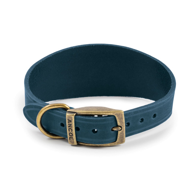 Ancol Greyhound Collar Blue 19" S4-5 Ancol Greyhound Collar Blue 19" S4-5