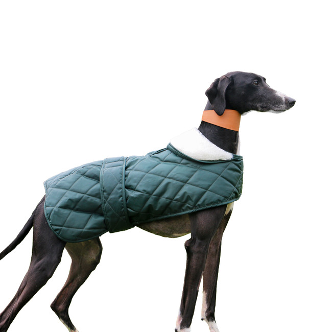 Ancol Muddy P Quilt Hound Coat Ancol Muddy P Quilt Hound Coat