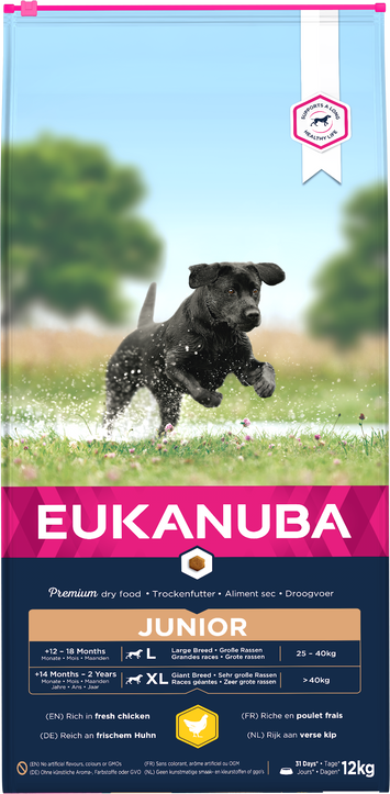 Eukanuba Junior Large Chicken