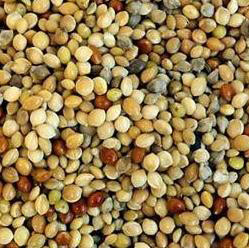 Johnston and Jeff Mixed Millet Aviary Bird Food 20kg Bag