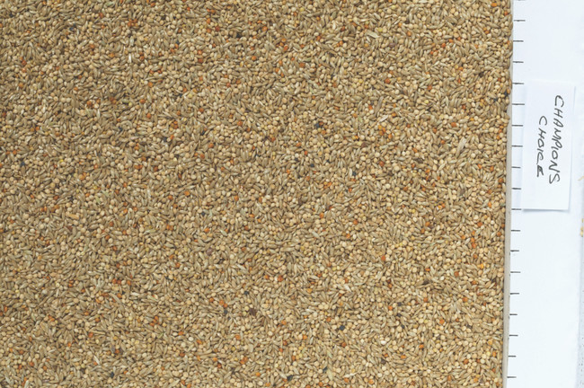 Johnston & Jeff Champions Choice Budgieseed 20kg