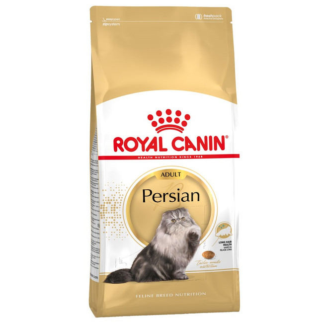 RC Persian Adult RC Persian Adult
