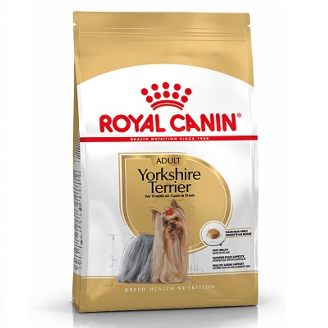 RC Yorkshire Terrier