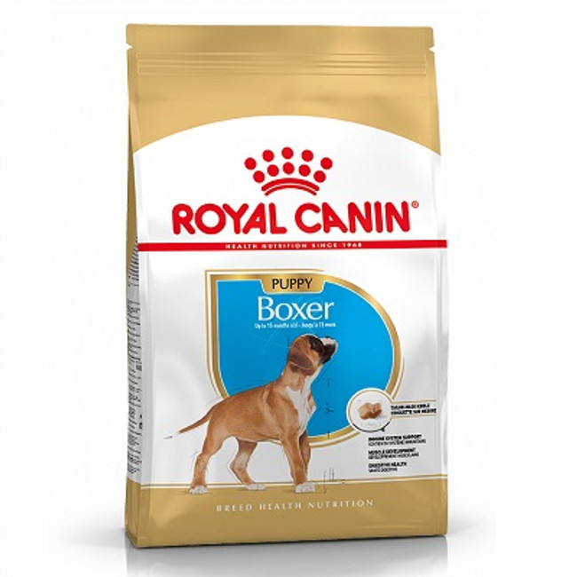 RC Boxer Puppy RC Boxer Puppy