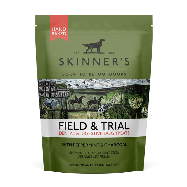 Skinners F&T Dental & Digestive 90g