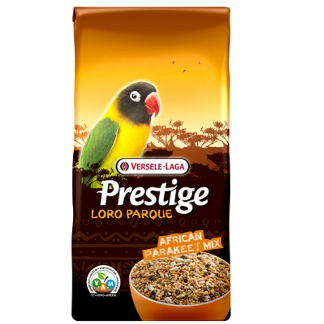 VL African Parakeet Prestige Loro Parque VL African Parakeet Prestige Loro Parque
