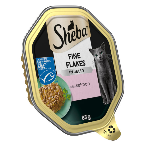 Sheba cat food tray, fine flakes with salmon, in jelly. Gold and black packaging, grey cat illustration.