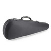 Jakob Winter Greenline Violin Case (avail. in black, blue, red, and grey)