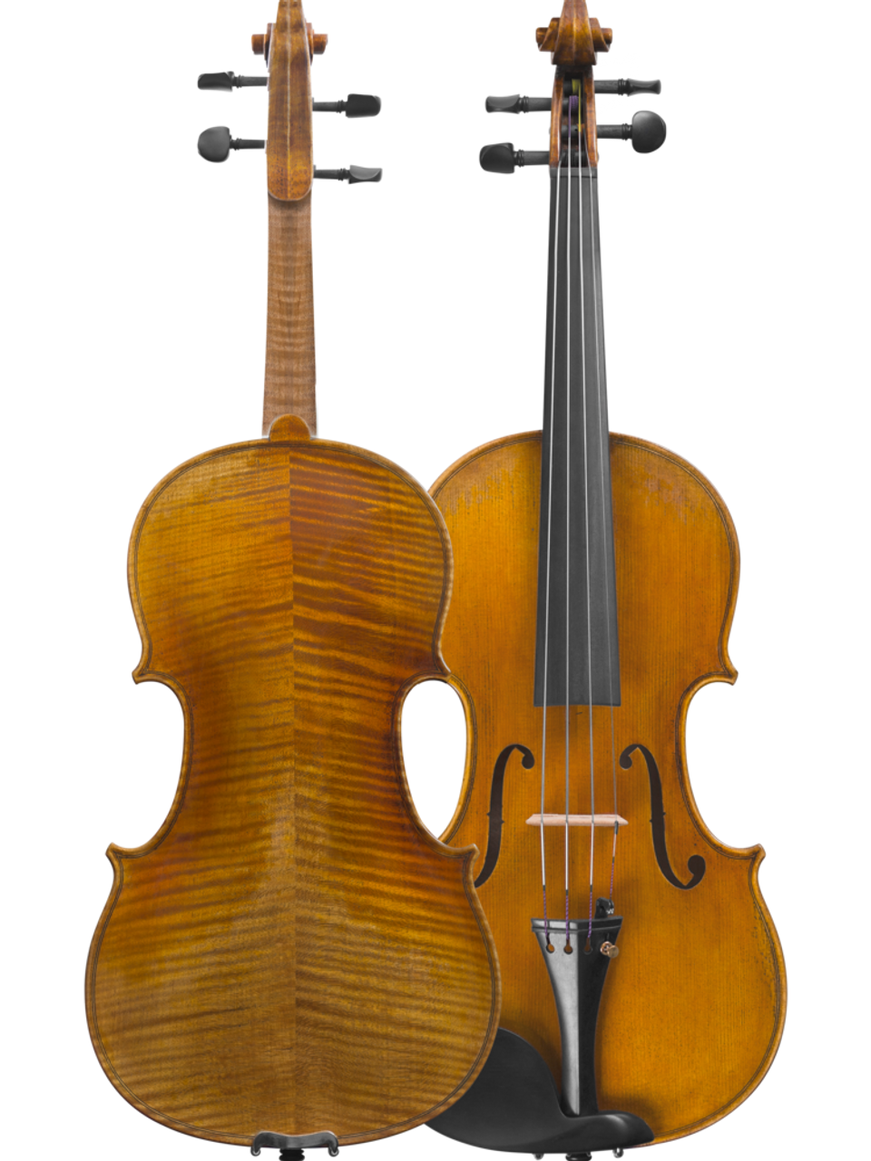 Medici Model Violin - 4/4 Size - Little Rock Violin Shop