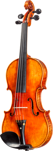 Core Select "Soil" Model Violin