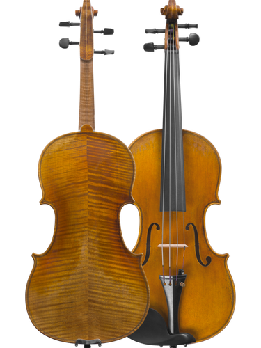 Medici Model Violin - 4/4 Size