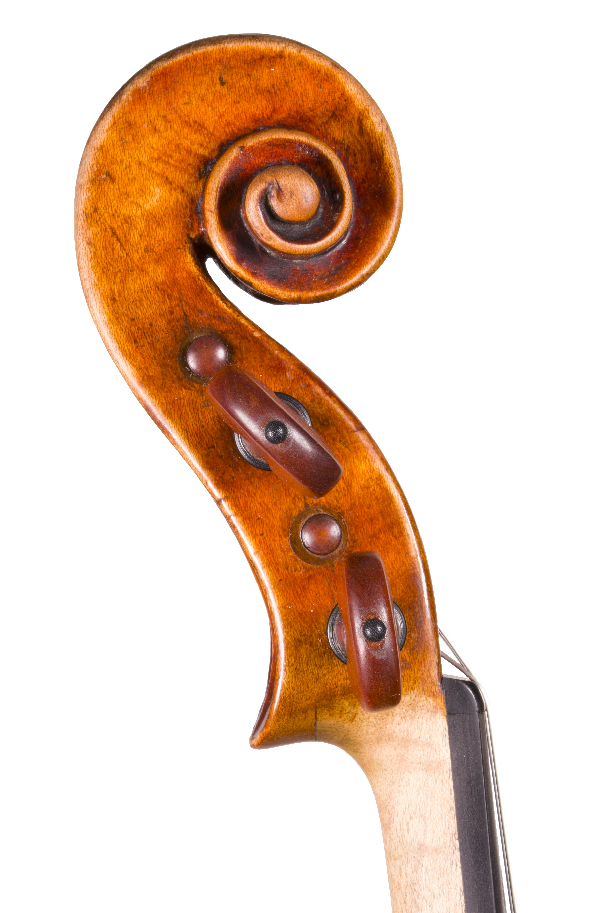 geoorge-craske-violin-scroll-bass.jpg