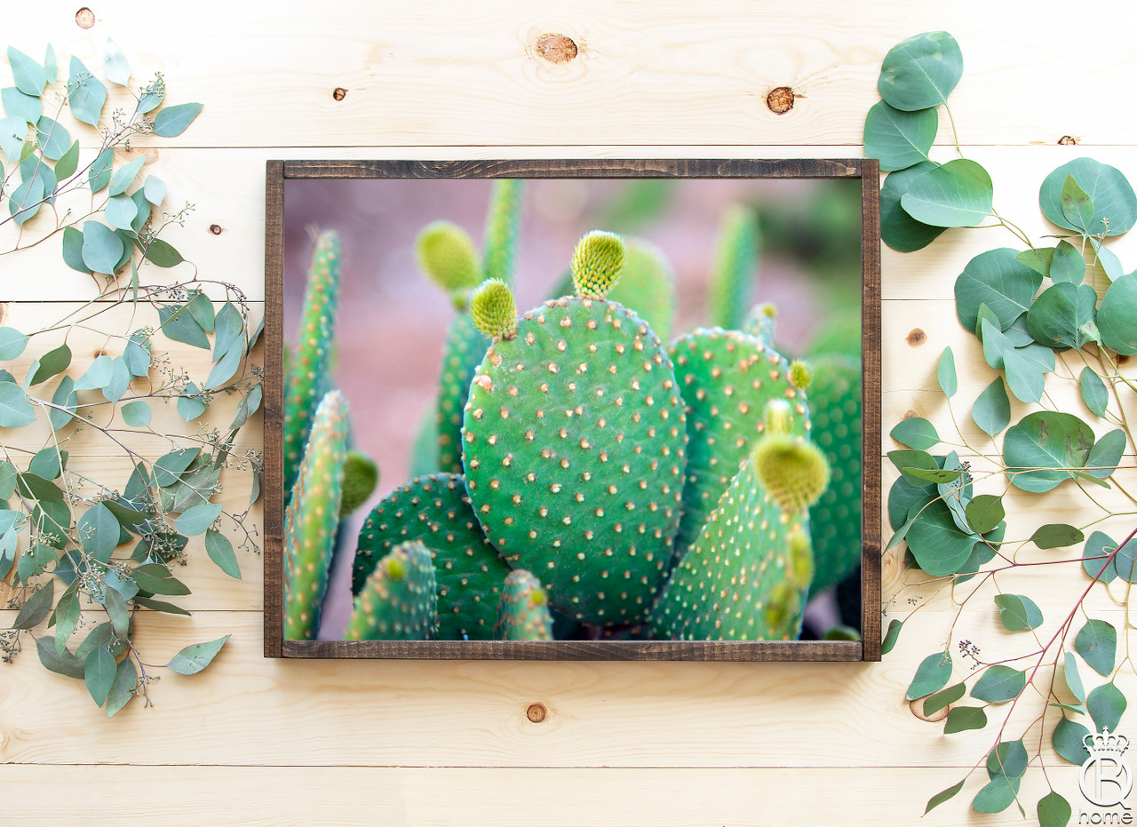 Pear Tree Sign Prickly Pear Framed Wood Sign - Queen B Home