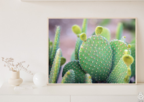 Prickly Pear Downloadable Print Prickly Pear Downloadable Print