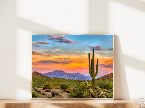 Sonoran Desert Saguaro Downloadable Print Sonoran Desert Saguaro Downloadable Print