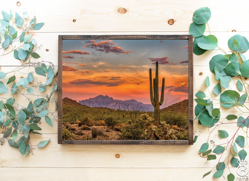 Sonoran Desert Framed Wood Sign - Queen B Home