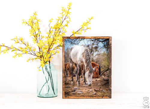 Salt River Horses Framed Wood Sign