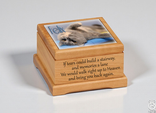 Custom Image & Engraved Small Alder Pet Urn