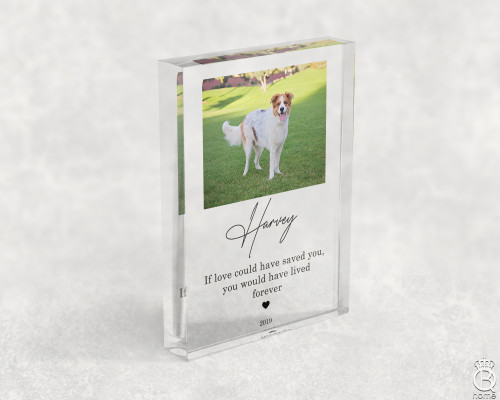 If Love Could Have Saved You... Acrylic Block If Love Could Have Saved You... Acrylic Block