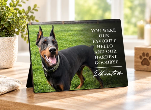 Favorite Hello Custom Photo Easel