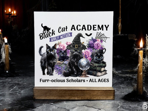 Black Cat Academy Shelfie Black Cat Academy Shelfie