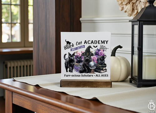Black Cat Academy Shelfie