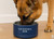 Engraved Pet Bowl: Navy