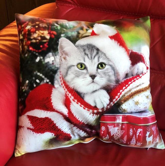 Cat Winter Festive Xmas Soft Touch Unfilled Cushion Cover 18" x 18"