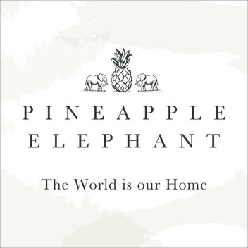 Pineapple Elephant Afra 100% Cotton Muslin Duvet Cover Set