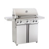 AOG Grill Portable:30PCL-00SP