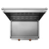 Napoleon Grill 700 Series:BIG32FTPSS