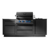 Napoleon Grill Built-In Comp:ODK300-BIG32RBNMK-1